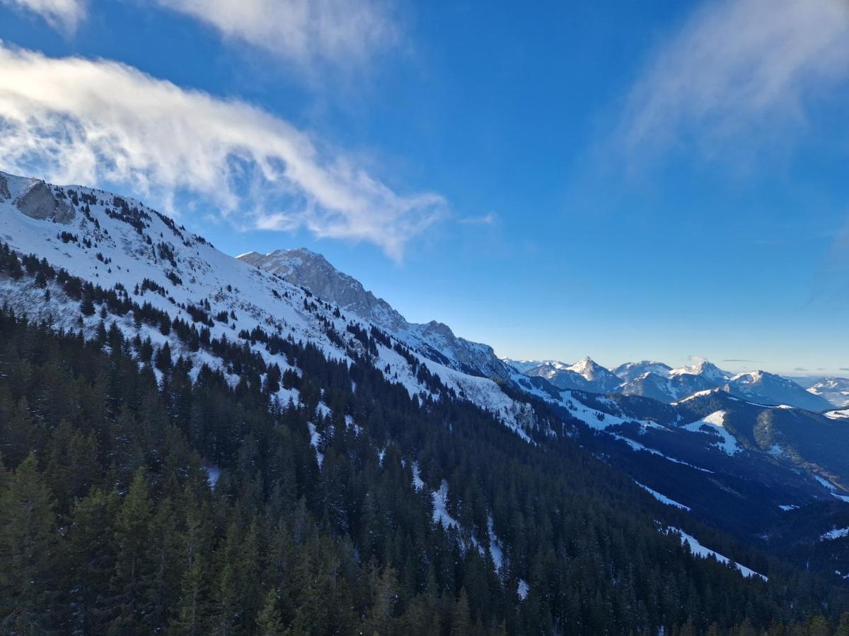 Appartement Tout Confort Montagne Et Lac Leman Thollon-les-Memises Exteriér fotografie